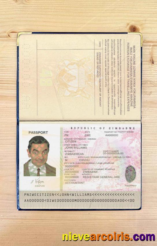 Zimbabwe passport photolook